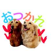 yumi.ami