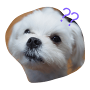 nanaodog