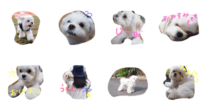 nanaodog