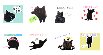 Daily conversation of Choco