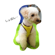 TOICHOCOCHAN