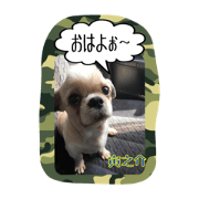 Mr.Toranosuke
