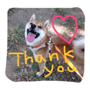shibafukuchan2