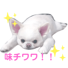 kaito_20210729171121