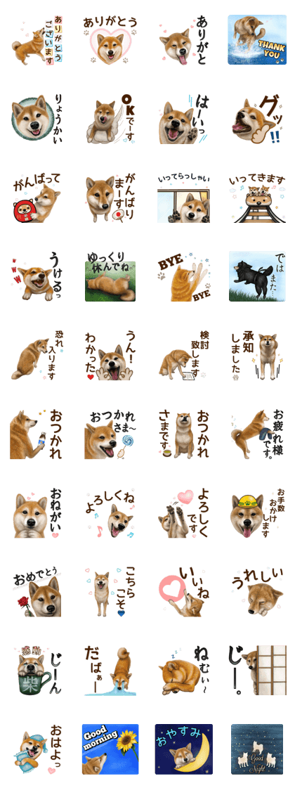 As expected! Shiba Inu [Almighty]