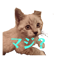 yamada_20210729170146