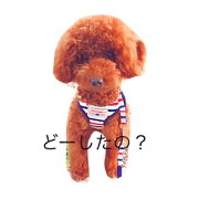 I'm Reo . my name is Reo