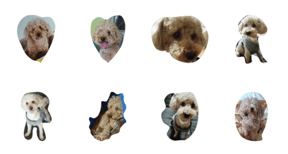 mokatan is dog