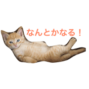 Brown Tiger's stamp