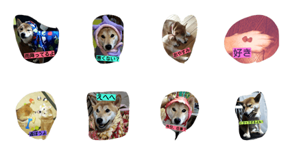 siriusufamily