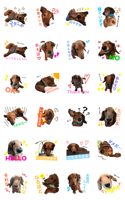 Buzz Sticker