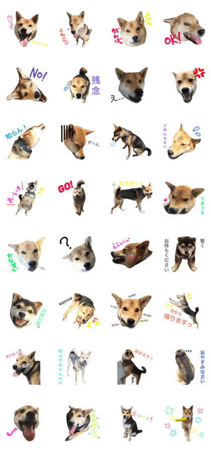 okra_shibamix