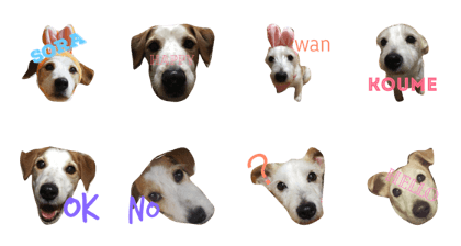 WANWANKO
