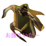 hang in there