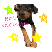 minipinwamuu.