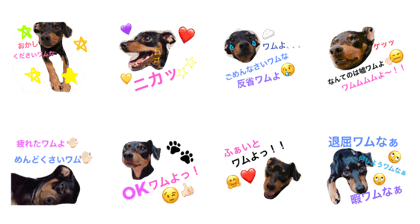 minipinwamuu.