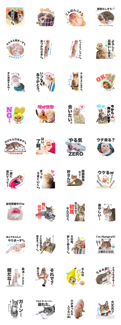 NEKOMAMIRE