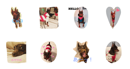 cocophoto