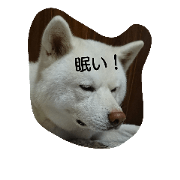 akitainu.hello2