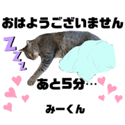 Miya_20210729155043