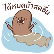 Walrus Kung