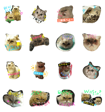 Pote-chan&Battan