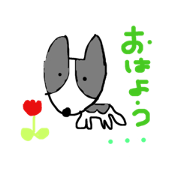 l love poppy
