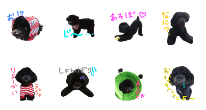 Kuropurion