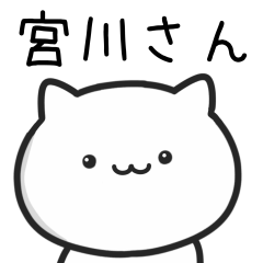 Cat For MIYAGAWA