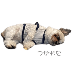 riho_20210730001443