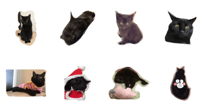 blackcat lovely Juji