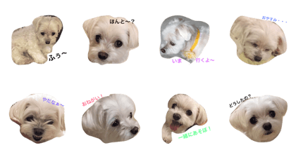 ruru's tweet ruru's tweet