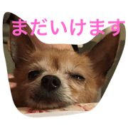 Going to Sleep Going to Sleep