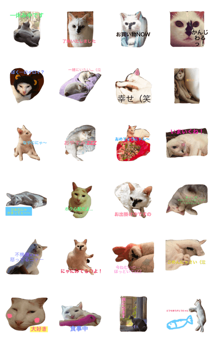 ilove chiroiroi ilove chiroiroi