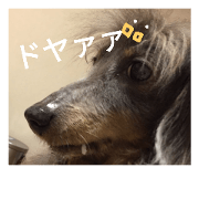 leafleafleaf leafleafleaf