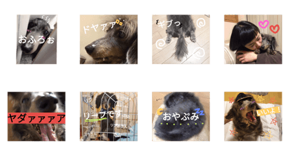 leafleafleaf leafleafleaf