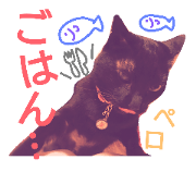 chooocolife chooocolife