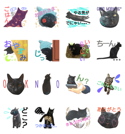 chooocolife chooocolife