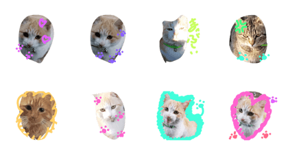 nyannkonyannko nyannkonyannko