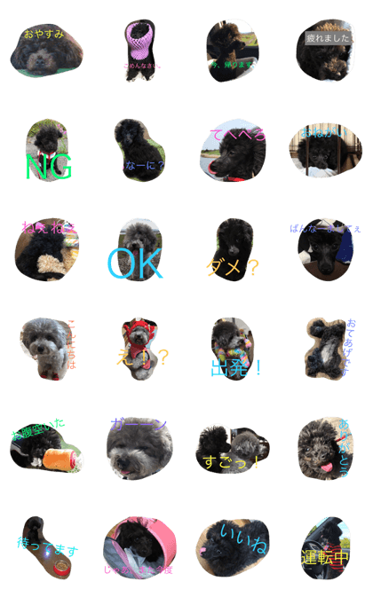 eve and kogoma eve and kogoma