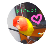 Happy&Lucky