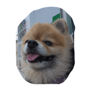 PONKICHI&MILK PONKICHI&MILK