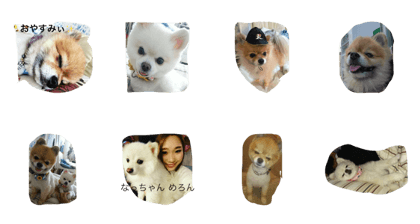 PONKICHI&MILK PONKICHI&MILK