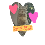 Feelings of akira Feelings of akira