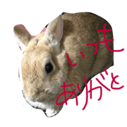 Favorite daughter ariana Favorite daughter ariana