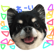 mamebori
