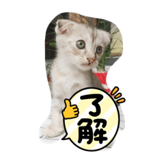 阿黃妹