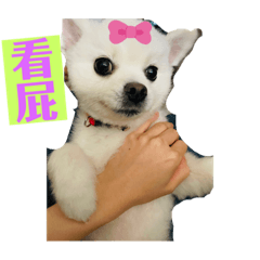 Lucky日常生活❤️