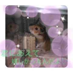 YUKINA_20210624195241