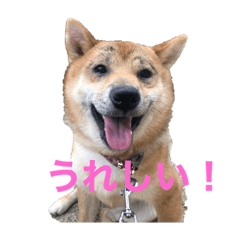 chie_20210624221801